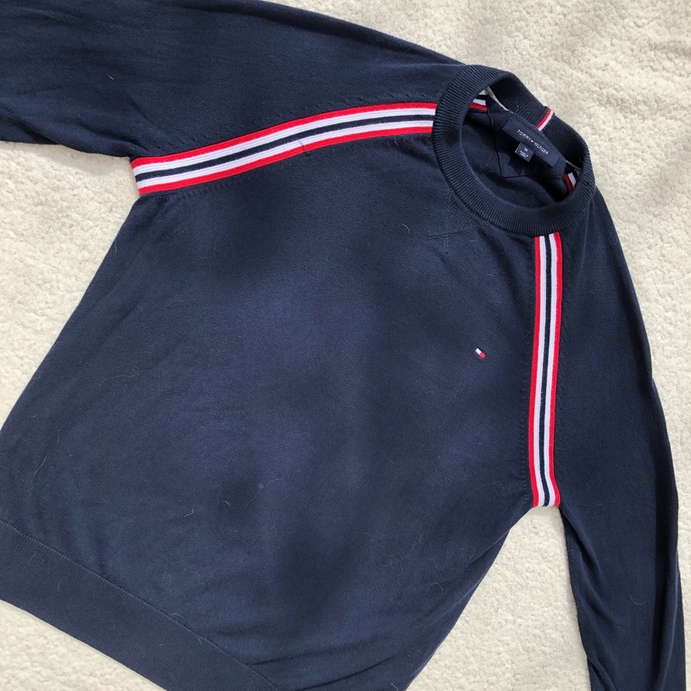 Tommy Hilfiger - Men’s Blue/Striped Sweater